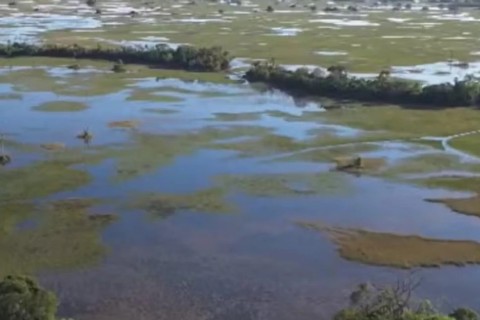 Pantanal registra maior perda de água do país e fecha 2025 com volume 56% abaixo da média histórica